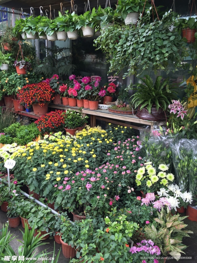 花店