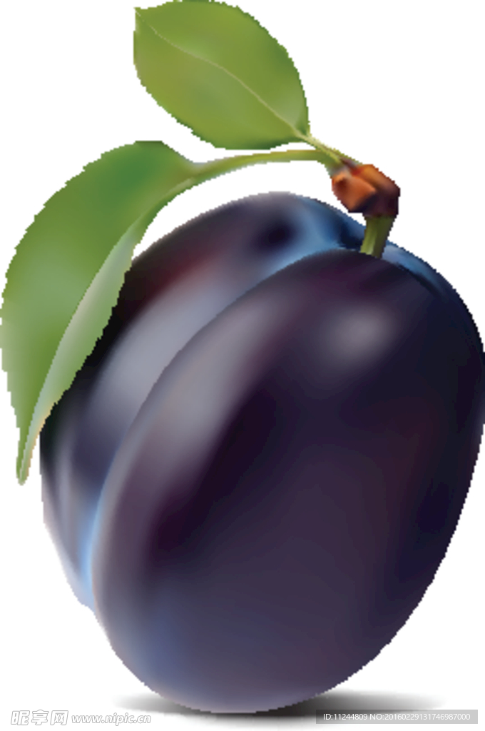 李子矢量