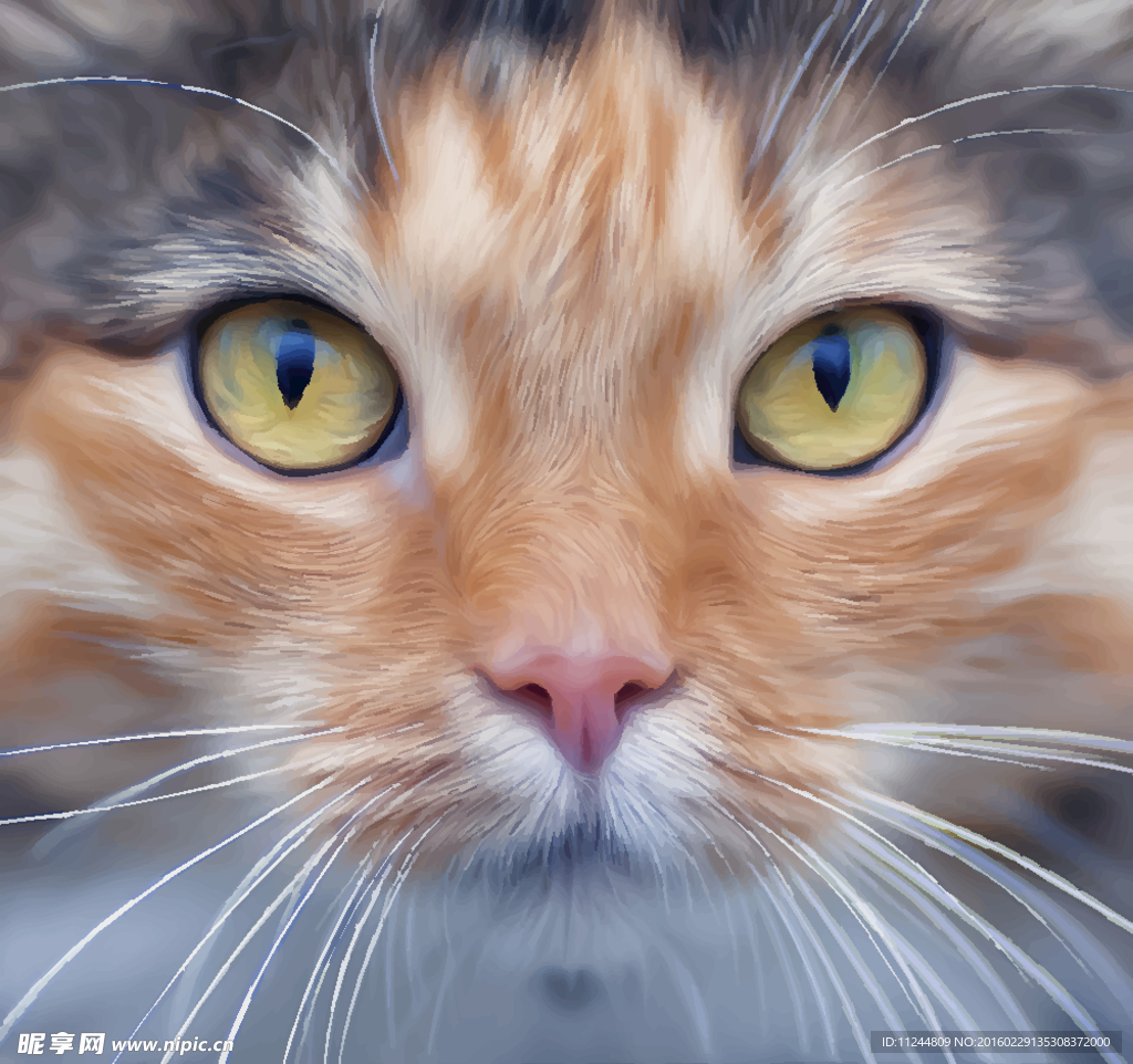 宠物 猫 头像 矢量 素材