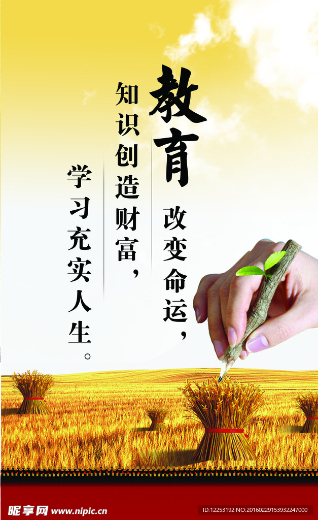 教育展板
