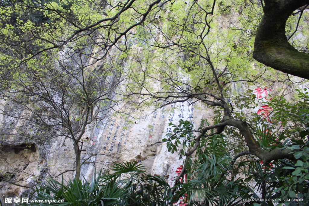 柳州龙潭公园风景