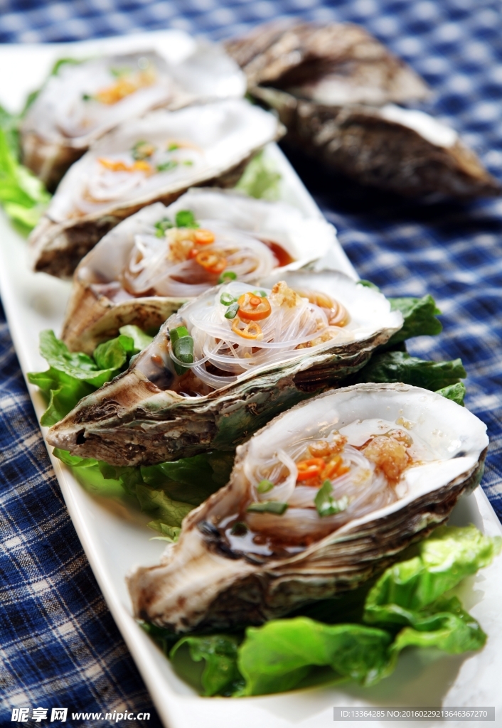 海鲜 扇贝 贝壳