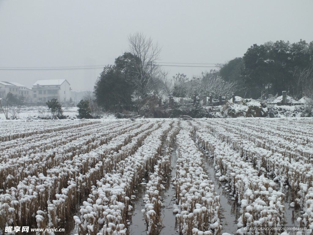 冰雪田野