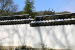 围墙白雪
