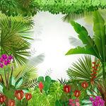 热带植物背景矢量