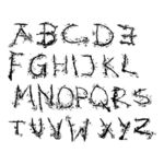 字母