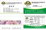 绿色妈妈名片