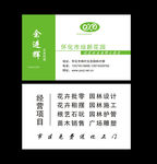 绿色名片