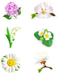 鲜花