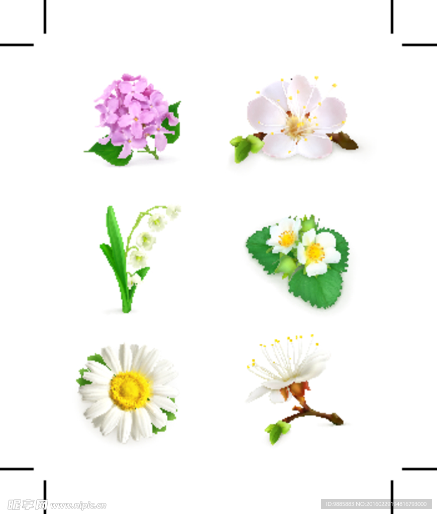 鲜花
