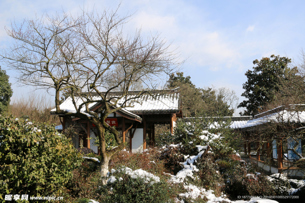 建筑白雪