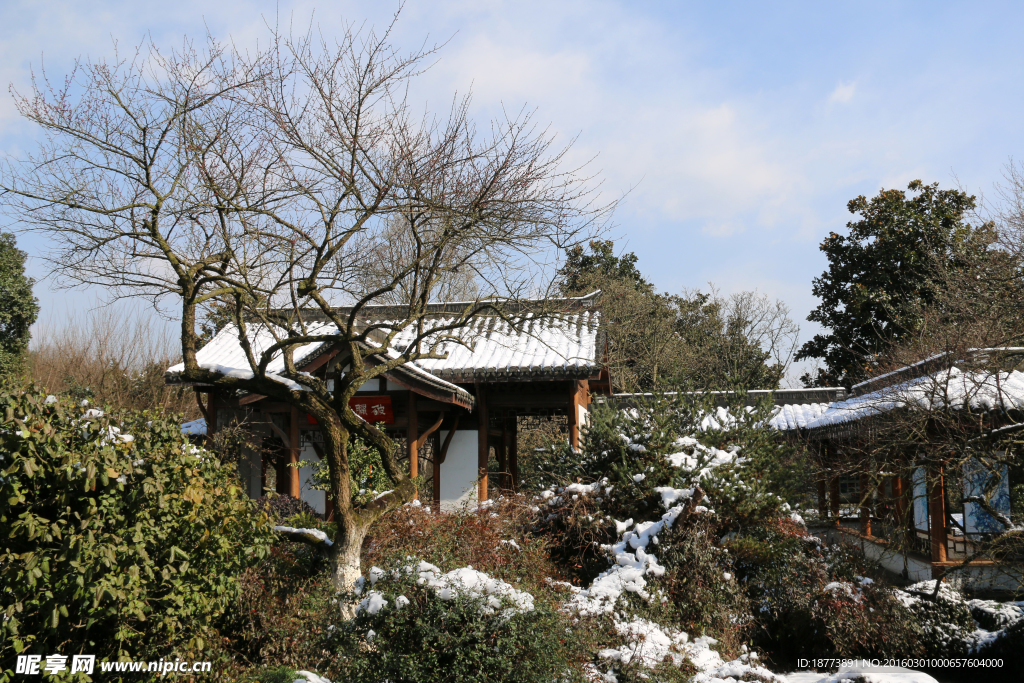 雪中美景