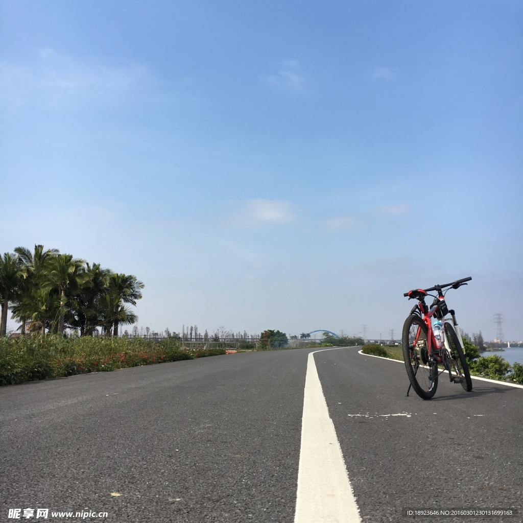 运动