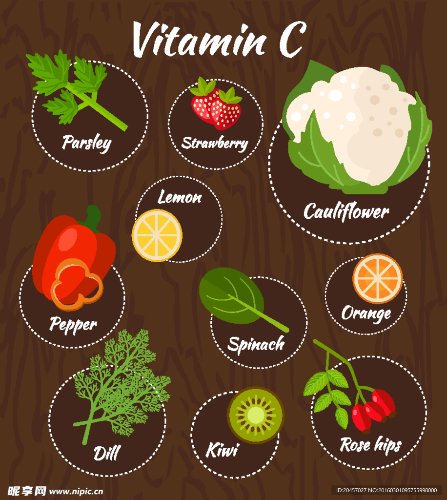 含维生素C的果蔬矢量图