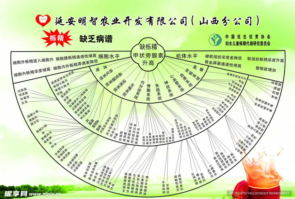 栎精图