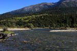 西藏鲁朗的河水