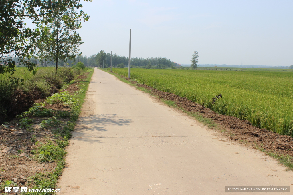 乡村道路