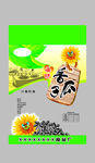 瓜子包装