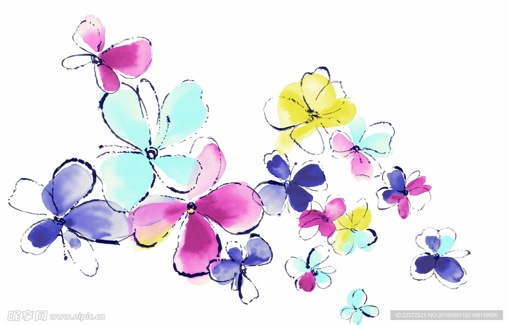 蝴蝶花 四叶草