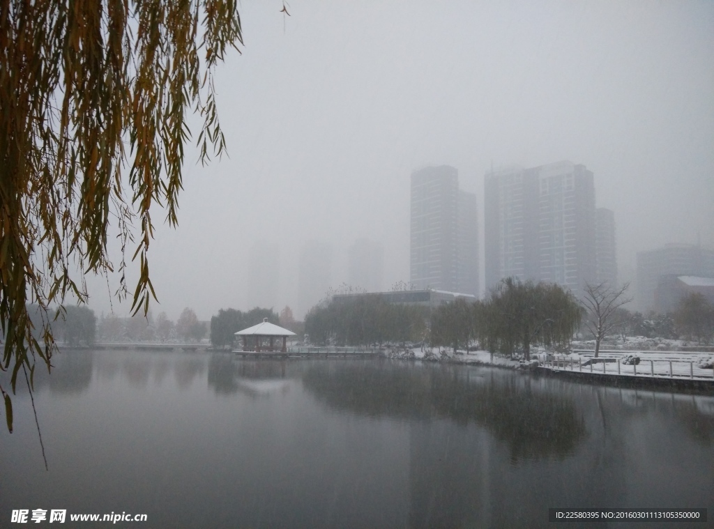 湖中雪景