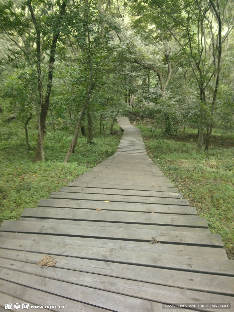 小路