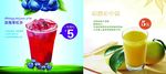 蓝莓果粒  柚子茶