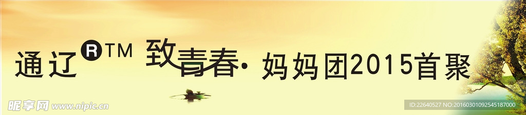 致青春