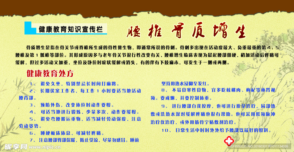 健康   教育