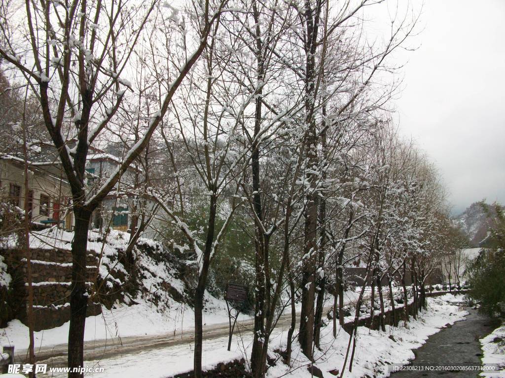 雪景