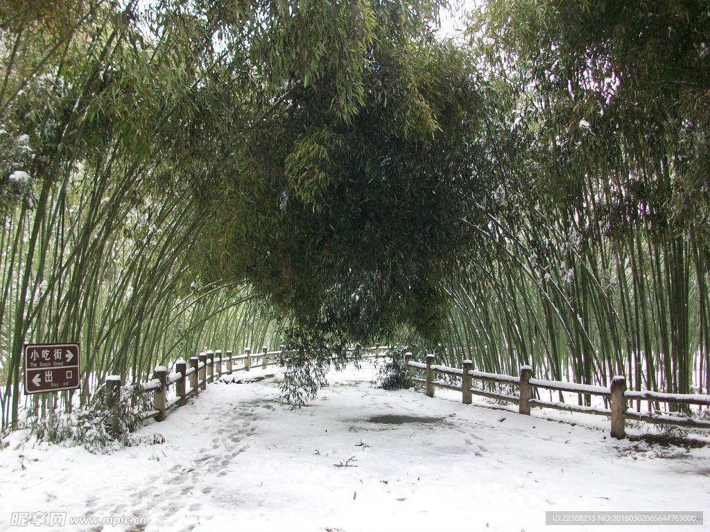 雪景