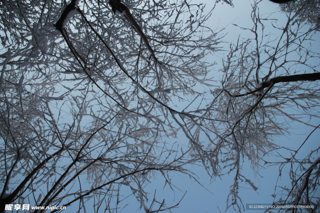 雪景