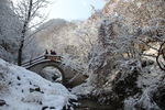 雪景