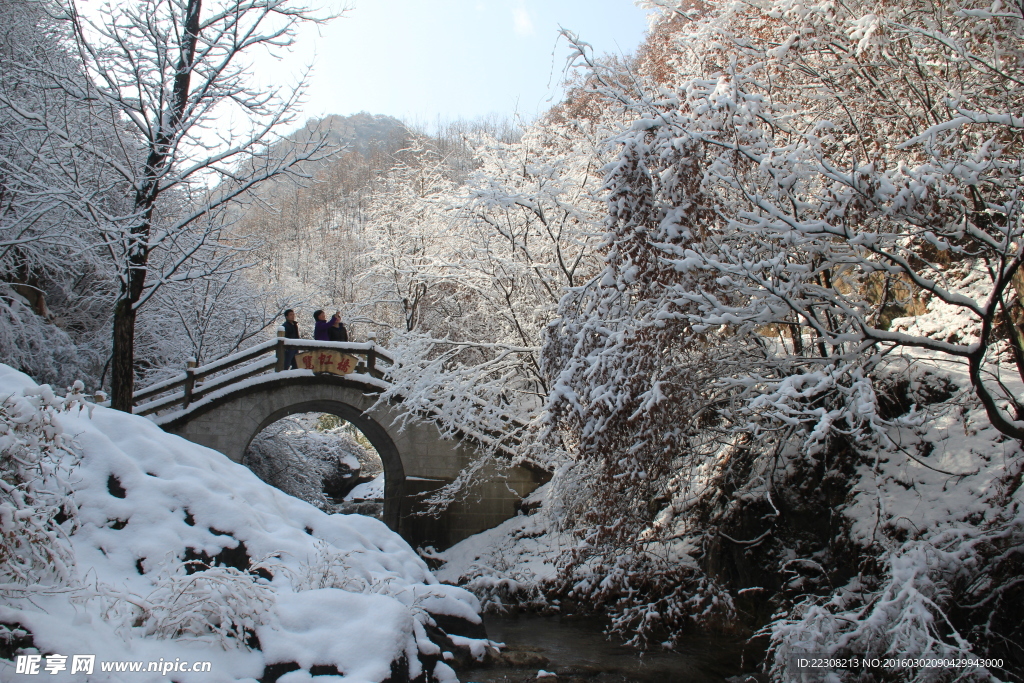 雪景