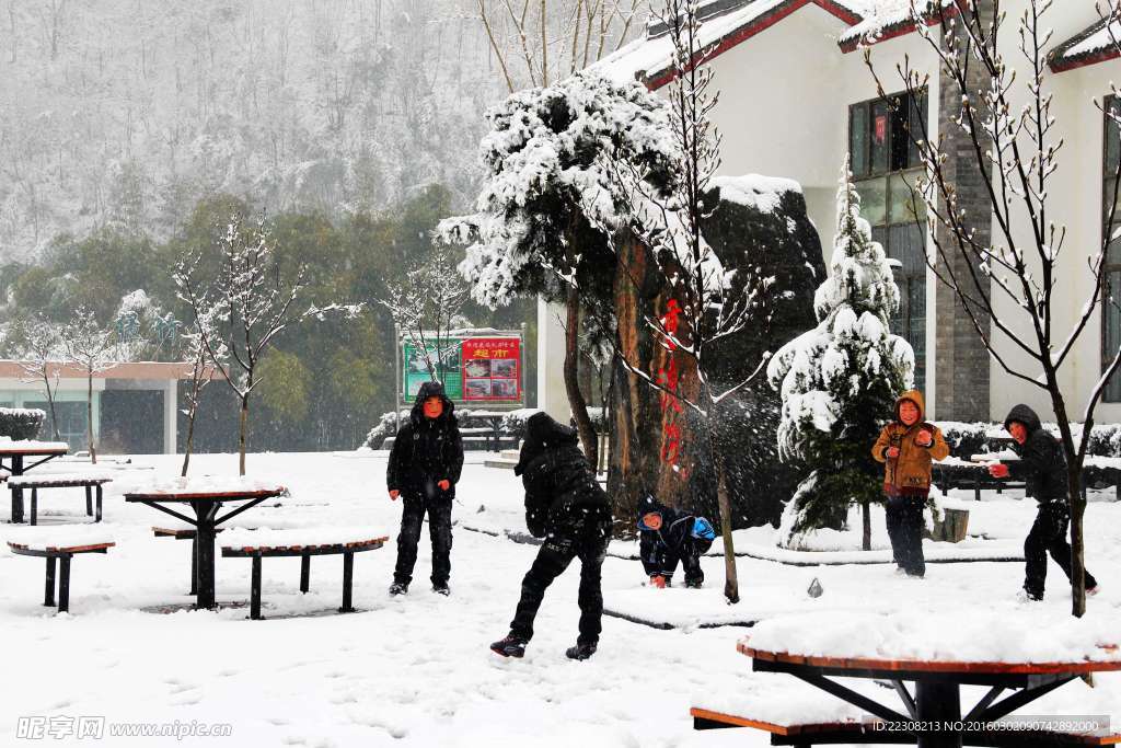 雪景