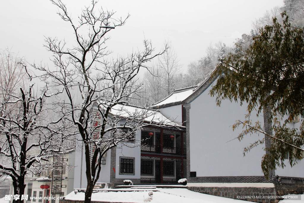 雪景