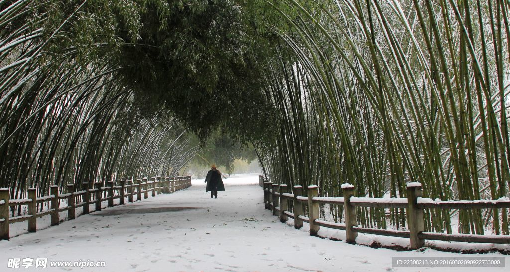 雪景