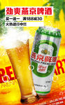 劲爽啤酒活动