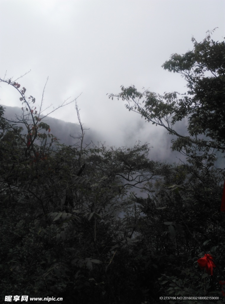 张家界天门山森林公园