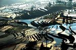 云南 元阳 梯田