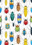 水彩 彩色 瓢虫 昆虫