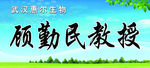 桌牌