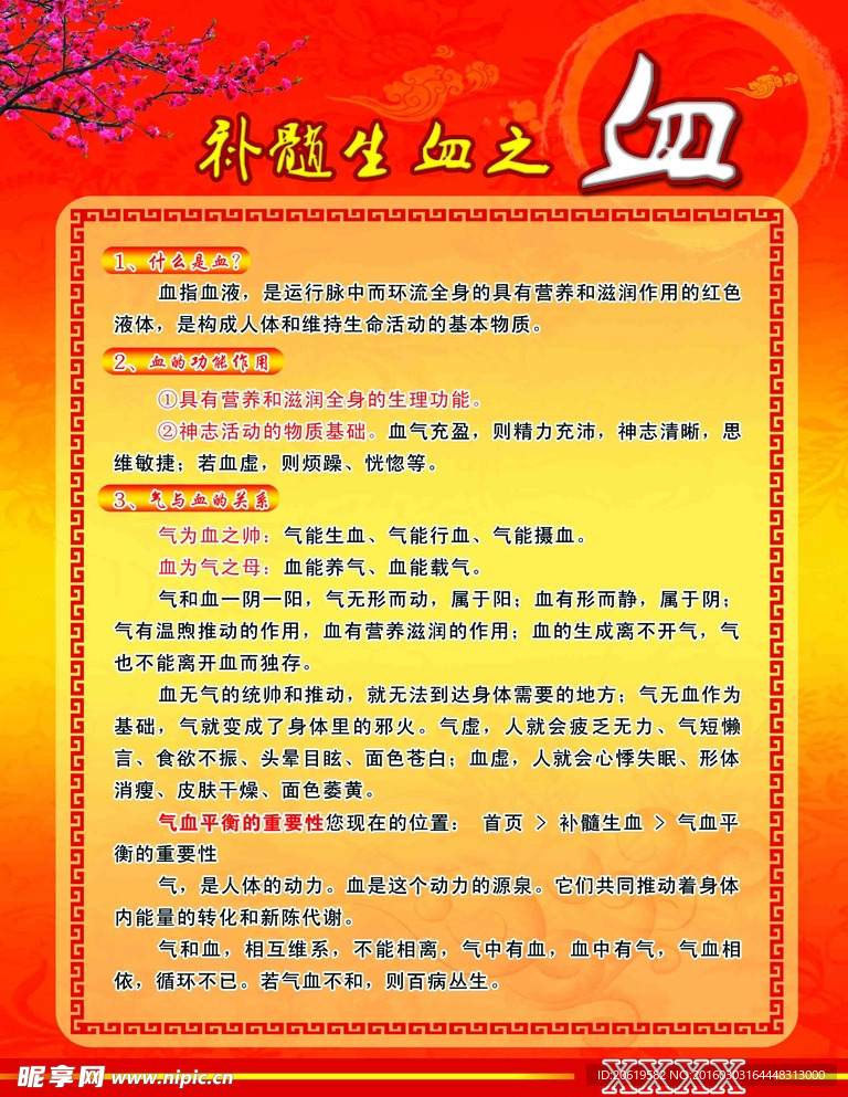 补髓生血海报分层