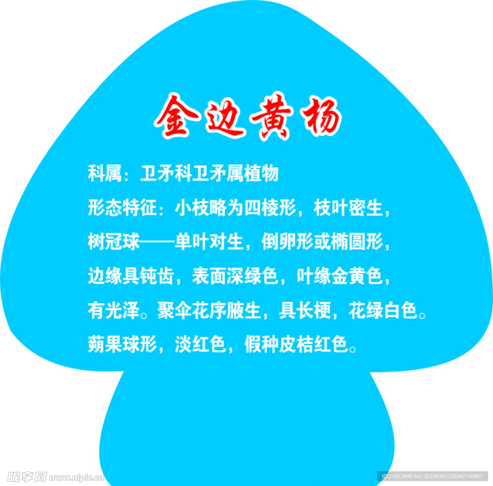 树牌