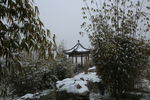 雪中公园亭子