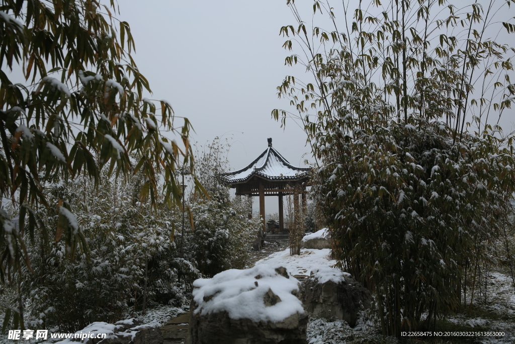 雪中公园亭子