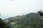 山林风景