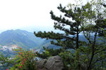 山上风景素材