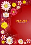 花朵花纹画框信封