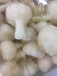 大蒜头