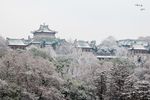 武汉大学樱顶雪景